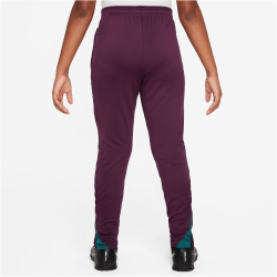 NIKE Paris Saint-Germain Strike Dri-FIT Knit Trainingshose Kinder 610 - bordeaux/geode teal/guava ice S (128-137 cm)