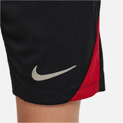 NIKE FC Liverpool Strike Dri-FIT Fußballshorts Kinder 010 - black/gym red/lt orewood brn XS (122-128 cm)