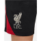 NIKE FC Liverpool Strike Dri-FIT Fußballshorts Kinder 010 - black/gym red/lt orewood brn XS (122-128 cm)