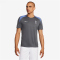 NIKE Tottenham Hotspur Strike Dri-FIT kurzarm Trainingsshirt Herren 024 - dark grey/dark grey/polar/grey fog S