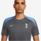 NIKE Tottenham Hotspur Strike Dri-FIT kurzarm Trainingsshirt Herren 024 - dark grey/dark grey/polar/grey fog S