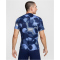 NIKE Tottenham Hotspur Dri-FIT Academy Pro kurzarm Aufw&auml;rmshirt Herren 425 - binary blue/p109c/white S