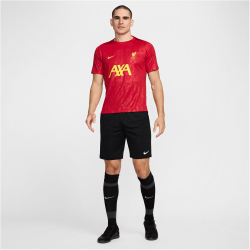 NIKE FC Liverpool Dri-FIT Academy Pro kurzarm Aufw&auml;rmshirt Herren 688 - gym red/chrome yellow/chrome yellow S