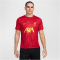 NIKE FC Liverpool Dri-FIT Academy Pro kurzarm Aufw&auml;rmshirt Herren 688 - gym red/chrome yellow/chrome yellow S