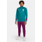 NIKE Paris Saint-Germain Strike Dri-FIT Knit Trainingsanzug Herren 382 - geode teal/bordeaux/guava ice S