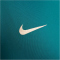 NIKE Paris Saint-Germain Strike Dri-FIT Knit Trainingsanzug Herren 382 - geode teal/bordeaux/guava ice S