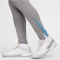 NIKE Atlético Madrid Dri-FIT Strike Trainingshose Herren 029 - flat pewter/noise aqua/lt crimson S