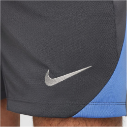 NIKE Tottenham Hotspur Strike Dri-FIT Fu&szlig;ballshorts Herren 023 - dark grey/polar/grey fog S
