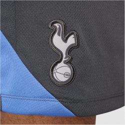 NIKE Tottenham Hotspur Strike Dri-FIT Fu&szlig;ballshorts Herren 023 - dark grey/polar/grey fog S