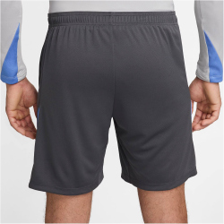 NIKE Tottenham Hotspur Strike Dri-FIT Fu&szlig;ballshorts Herren 023 - dark grey/polar/grey fog S