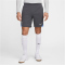 NIKE Tottenham Hotspur Strike Dri-FIT Fu&szlig;ballshorts Herren 023 - dark grey/polar/grey fog S