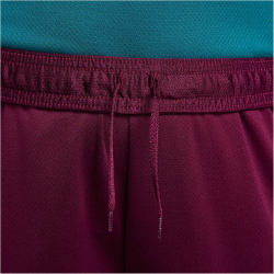 NIKE Paris Saint-Germain Strike Jordan Dri-FIT Fu&szlig;ballshorts Herren 610 - bordeaux/geode teal/guava ice S