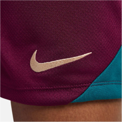 NIKE Paris Saint-Germain Strike Jordan Dri-FIT Fu&szlig;ballshorts Herren 610 - bordeaux/geode teal/guava ice S