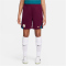 NIKE Paris Saint-Germain Strike Jordan Dri-FIT Fu&szlig;ballshorts Herren 610 - bordeaux/geode teal/guava ice S