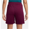 NIKE Paris Saint-Germain Strike Jordan Dri-FIT Fu&szlig;ballshorts Herren 610 - bordeaux/geode teal/guava ice S