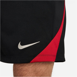 NIKE FC Liverpool Strike Dri-FIT Fu&szlig;ballshorts Herren 010 - black/gym red/lt orewood brn XS