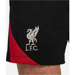 NIKE FC Liverpool Strike Dri-FIT Fu&szlig;ballshorts Herren 010 - black/gym red/lt orewood brn XS