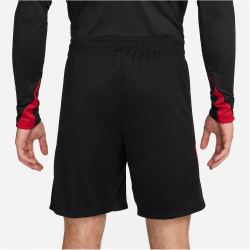 NIKE FC Liverpool Strike Dri-FIT Fu&szlig;ballshorts Herren 010 - black/gym red/lt orewood brn XS
