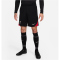 NIKE FC Liverpool Strike Dri-FIT Fu&szlig;ballshorts Herren 010 - black/gym red/lt orewood brn XS