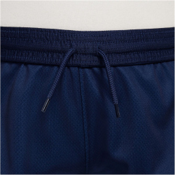 NIKE Paris Saint-Germain Dri-FIT Stadium Heimshorts...