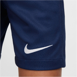 NIKE Paris Saint-Germain Dri-FIT Stadium Heimshorts...
