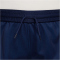 NIKE Paris Saint-Germain Dri-FIT Stadium Heimshorts Kinder 410 - midnight navy/white S (128-137 cm)