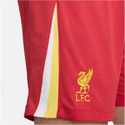 NIKE FC Liverpool Dri-FIT Stadium Heimshorts Herren 687 - gym red/white/chrome yellow L