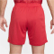 NIKE FC Liverpool Dri-FIT Stadium Heimshorts Herren 687 - gym red/white/chrome yellow L