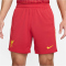 NIKE FC Liverpool Dri-FIT Stadium Heimshorts Herren 687 - gym red/white/chrome yellow L