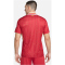 NIKE FC Liverpool Dri-FIT Stadium Heimtrikot Herren 688 - gym red/white/chrome yellow M