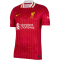 NIKE FC Liverpool Dri-FIT Stadium Heimtrikot Herren 688 - gym red/white/chrome yellow M
