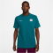 NIKE Paris Saint-Germain Travel Fu&szlig;ball-Trainingsshirt Herren 381 - geode teal/guava ice S