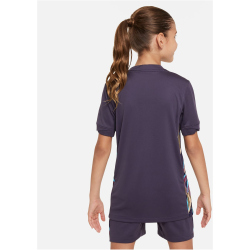 NIKE England Stadium Dri-FIT Ausw&auml;rtstrikot 2024 Kinder 573 - dark raisin/sesame S (128-137 cm)