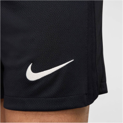 NIKE Portugal Stadium Dri-FIT Ausw&auml;rtsshorts 2024 Herren 441 - pitch blue/sail S