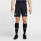 NIKE Portugal Stadium Dri-FIT Ausw&auml;rtsshorts 2024 Herren 441 - pitch blue/sail S