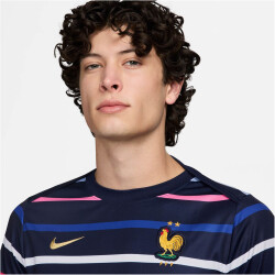 NIKE Frankreich Academy Pro Dri-FIT...