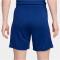 NIKE Niederlande Strike Dri-FIT Fußballshorts Herren 455 - deep royal blue/safety orange M