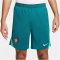 NIKE Portugal Strike Dri-FIT Fu&szlig;ballshorts Herren 381 - geode teal/kinetic green/sail S