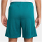 NIKE Portugal Strike Dri-FIT Fu&szlig;ballshorts Herren 381 - geode teal/kinetic green/sail S