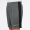 NIKE Dri-FIT Academy23 Fu&szlig;ballshorts Kinder 069 - iron grey/black/sunset pulse M (137-147 cm)