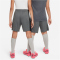NIKE Dri-FIT Academy23 Fu&szlig;ballshorts Kinder 069 - iron grey/black/sunset pulse M (137-147 cm)
