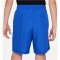 NIKE Dri-FIT Multi+ Icon Shorts Jungen 480 - game royal/white M (137-147 cm)