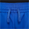 NIKE Dri-FIT Multi+ Icon Shorts Jungen 480 - game royal/white M (137-147 cm)