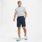 NIKE Dri-FIT Golfshorts Herren 451 - obsidian/obsidian 47
