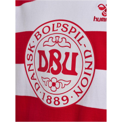 hummel DBU D&auml;nemark 24 Fan-Shirt Kinder