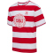 hummel DBU Dänemark 24 Fan-Shirt Kinder