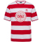 hummel DBU Dänemark 24 Fan-Shirt Kinder
