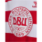 hummel DBU Dänemark 24 Fan-Shirt Kinder