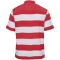 hummel DBU Dänemark 24 Fan-Shirt