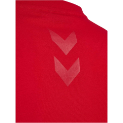 hummel DBU D&auml;nemark 24 EM Champions Fan-Shirt